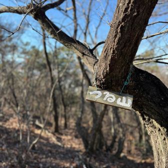 つる山⛰️