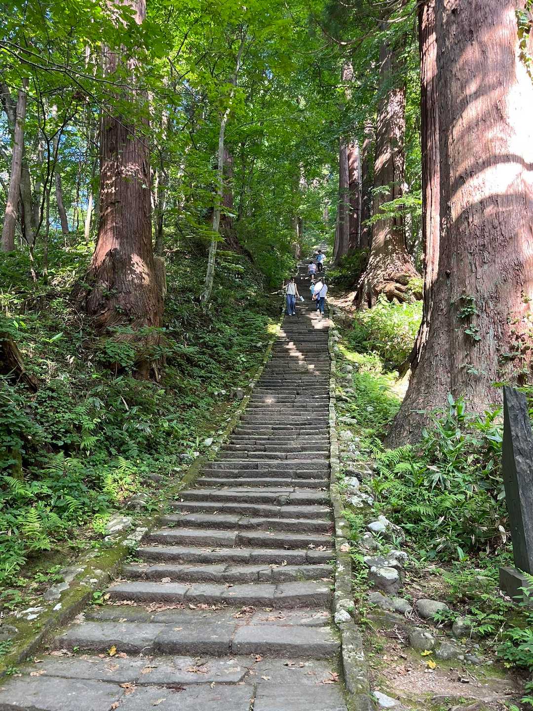 けれども気温31度湿度100%(?)