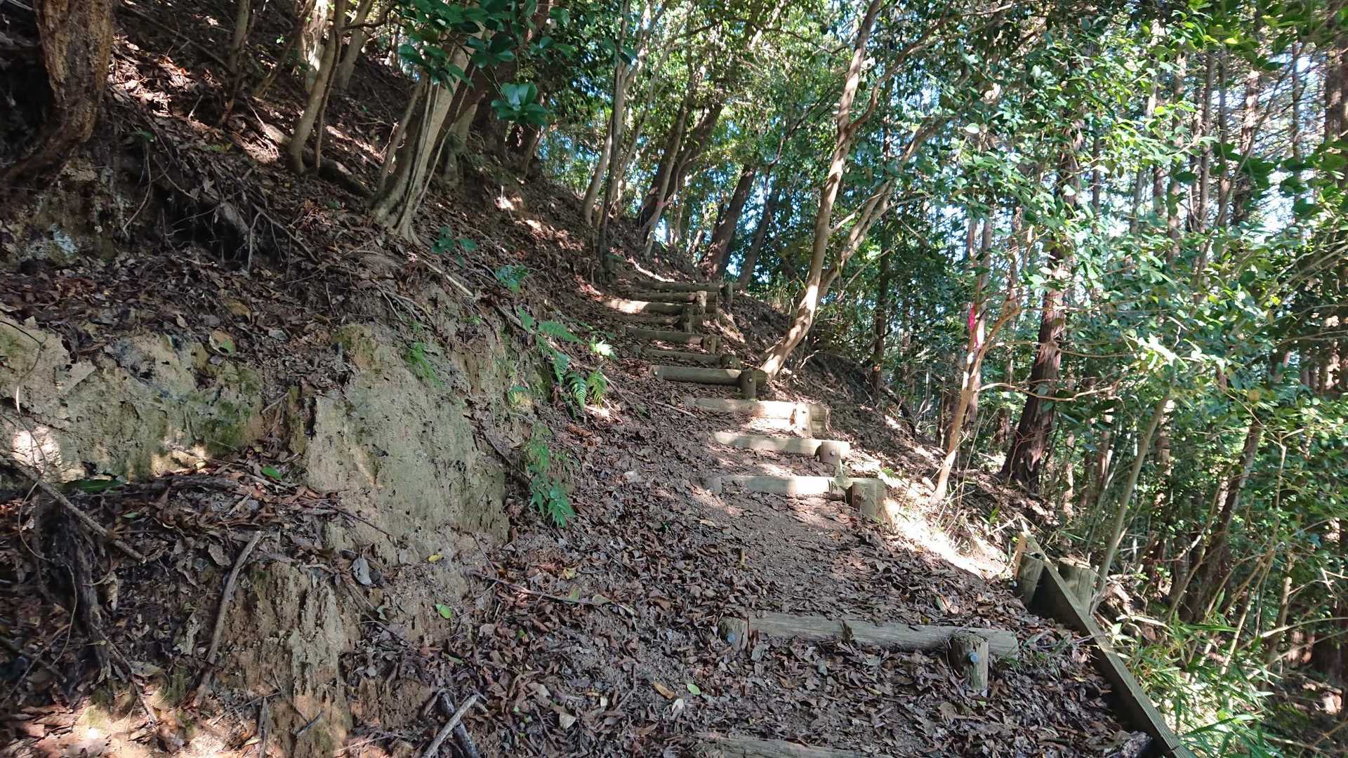 鳶巣城跡登山口-鳶が巣山 往復コースの写真