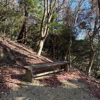 ベンチもあり快適