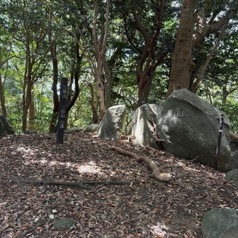 三池山二の山