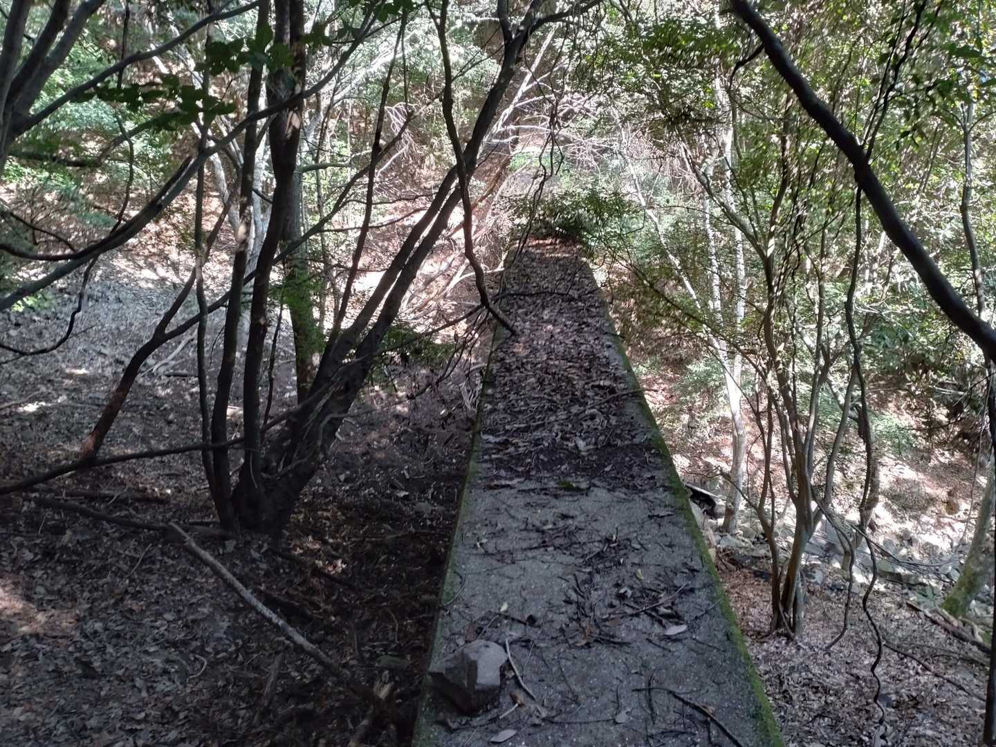 砂防擁壁を２基超えて行きます