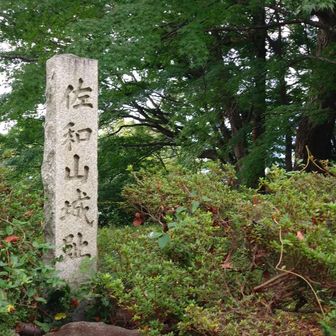 佐和山城跡🏯
戦国時代末期の石田三成の居城跡