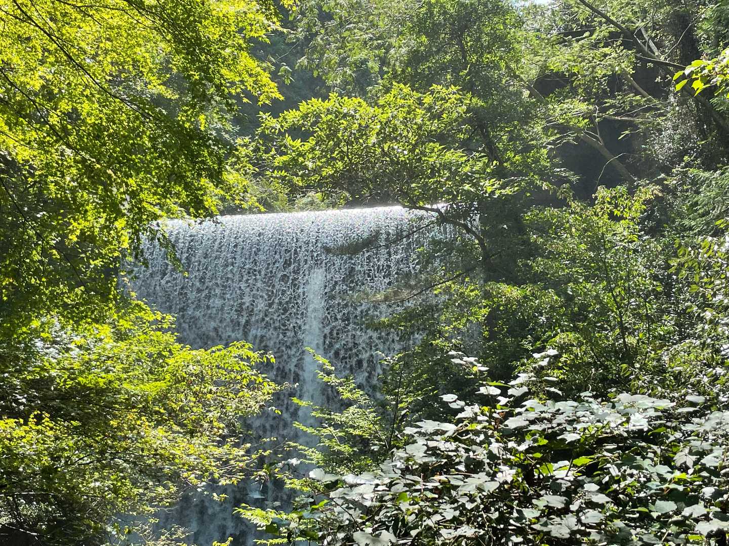水の量が半端ないです