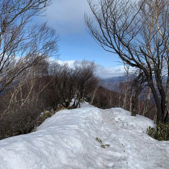 見晴台があるそうですが、見晴らし期待できないので今回は行かず。