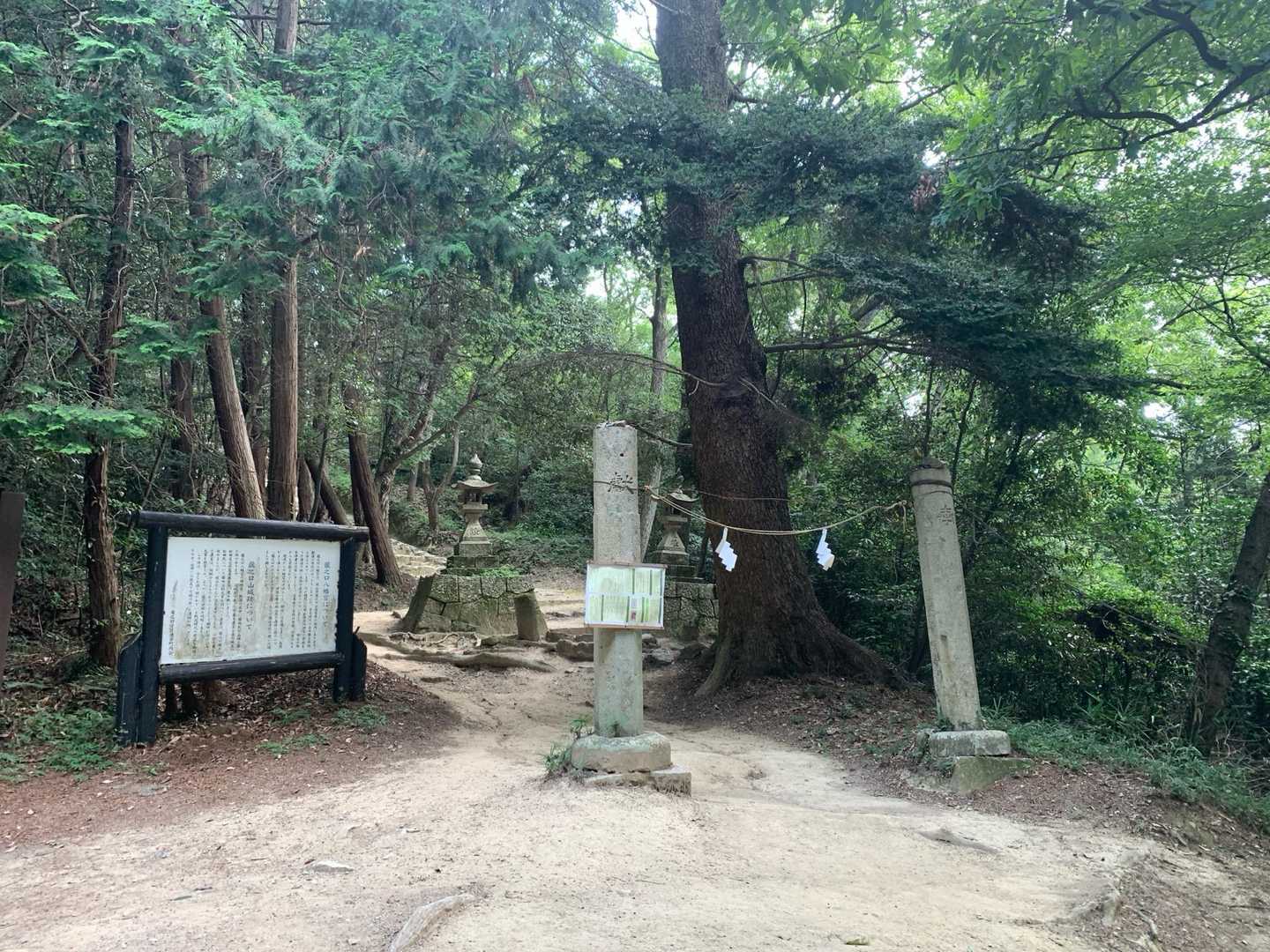龍ノ口山-龍ノ口八幡宮 周回コースの写真