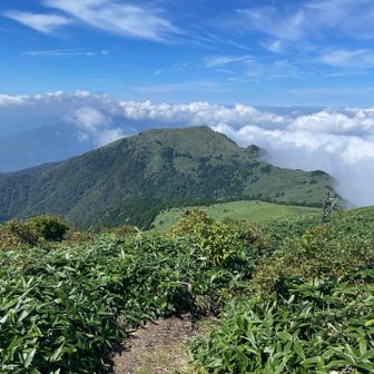 振り返って、堂ヶ森　雲海もいい☁️