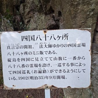 ミニ版だけど、参った気持ちになりました