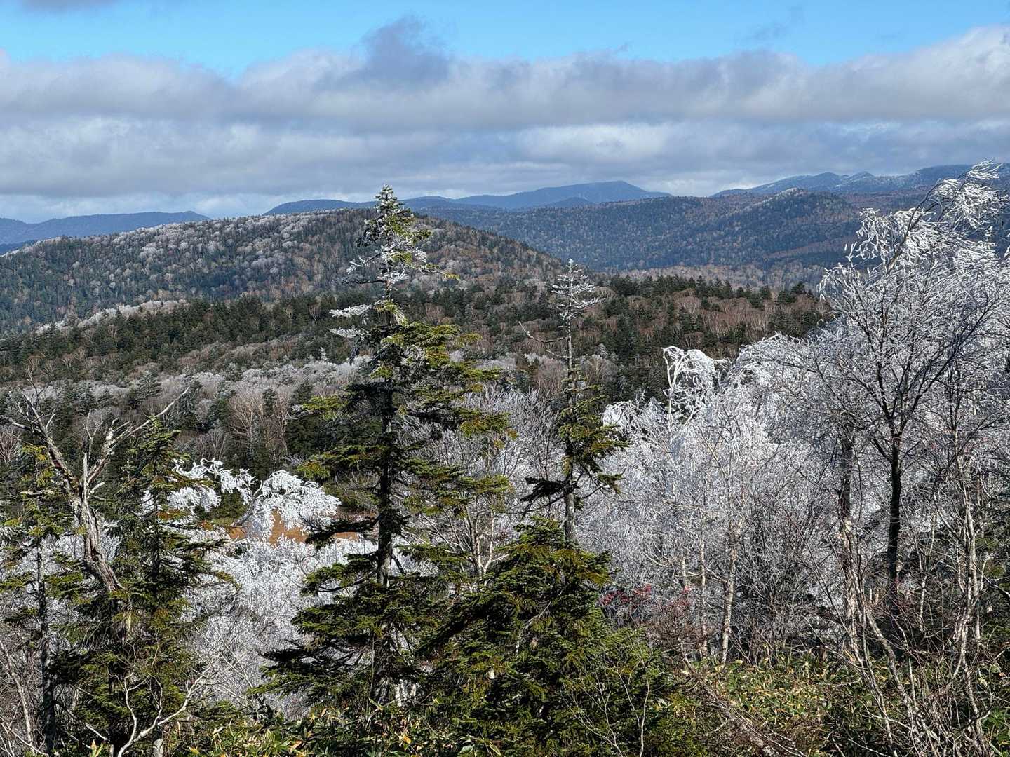鳩待峠-横田代-中原山-アヤメ平 周回コースの写真