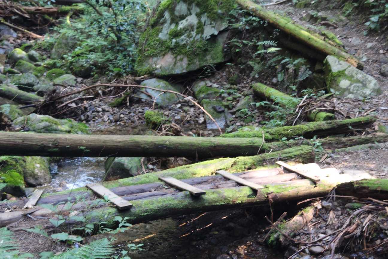 納古山 往復コースの写真