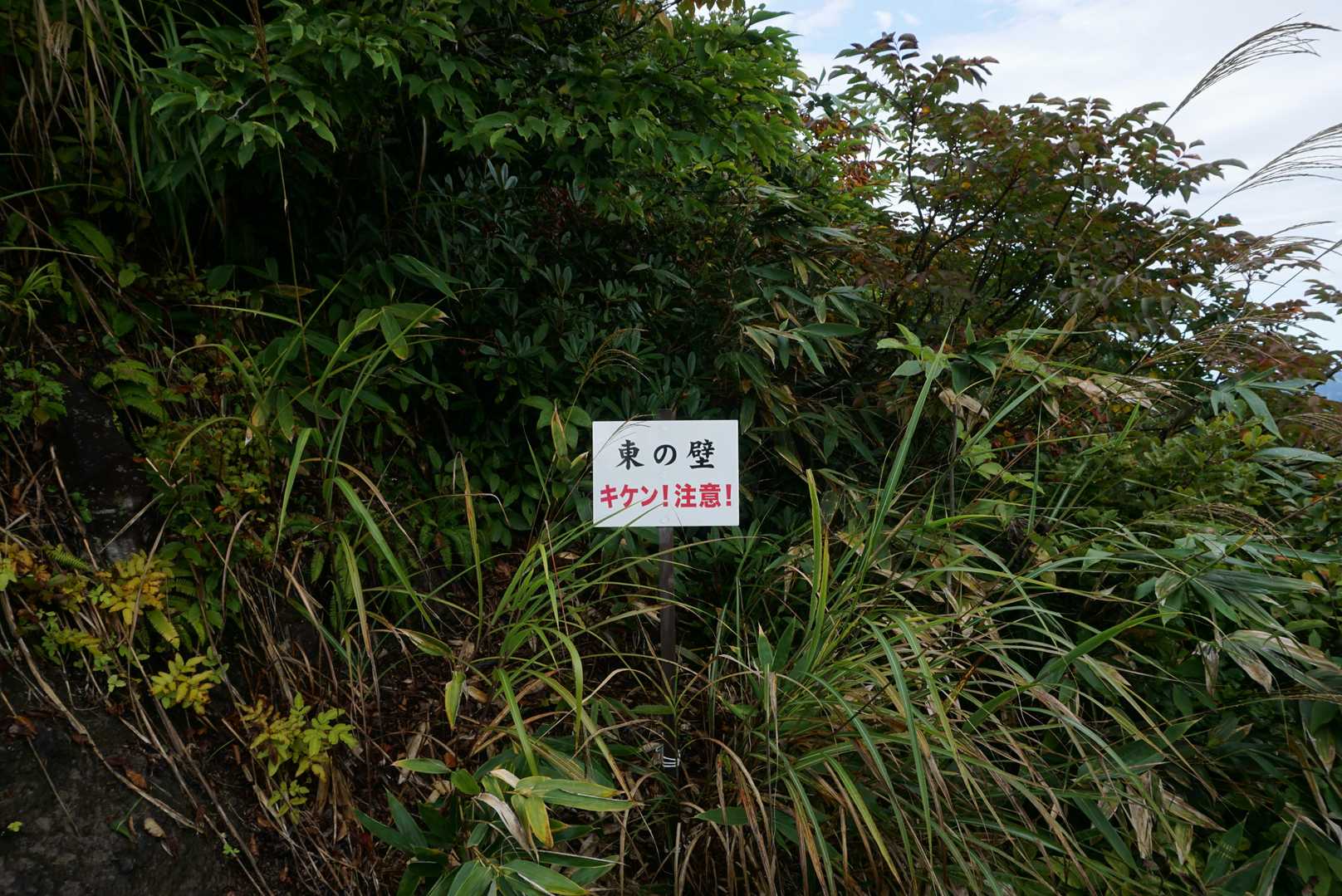 降りてみてから気がつく、東の壁😆