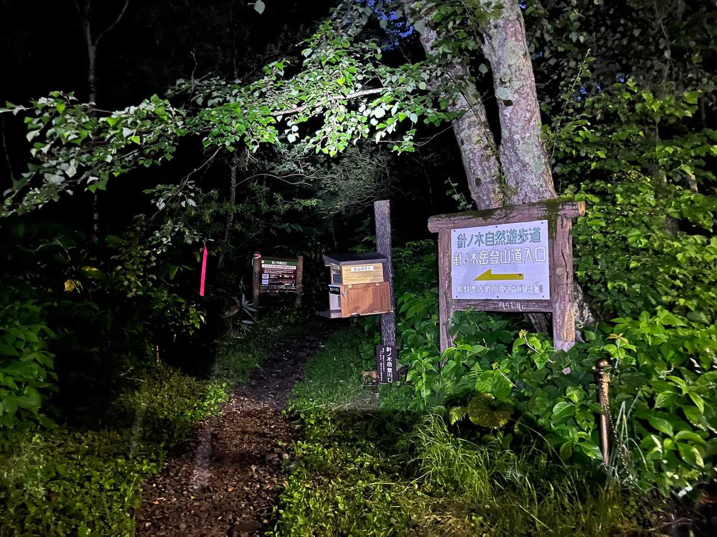 扇沢駅の道挟んだ横にある登山口からスタートです▶️
