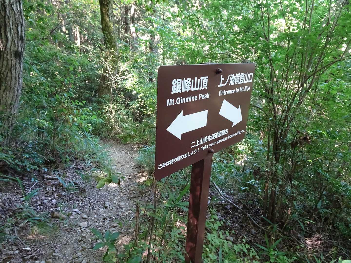 ここを左奥の道へ歩いて行くとシュウカイドウが咲いています