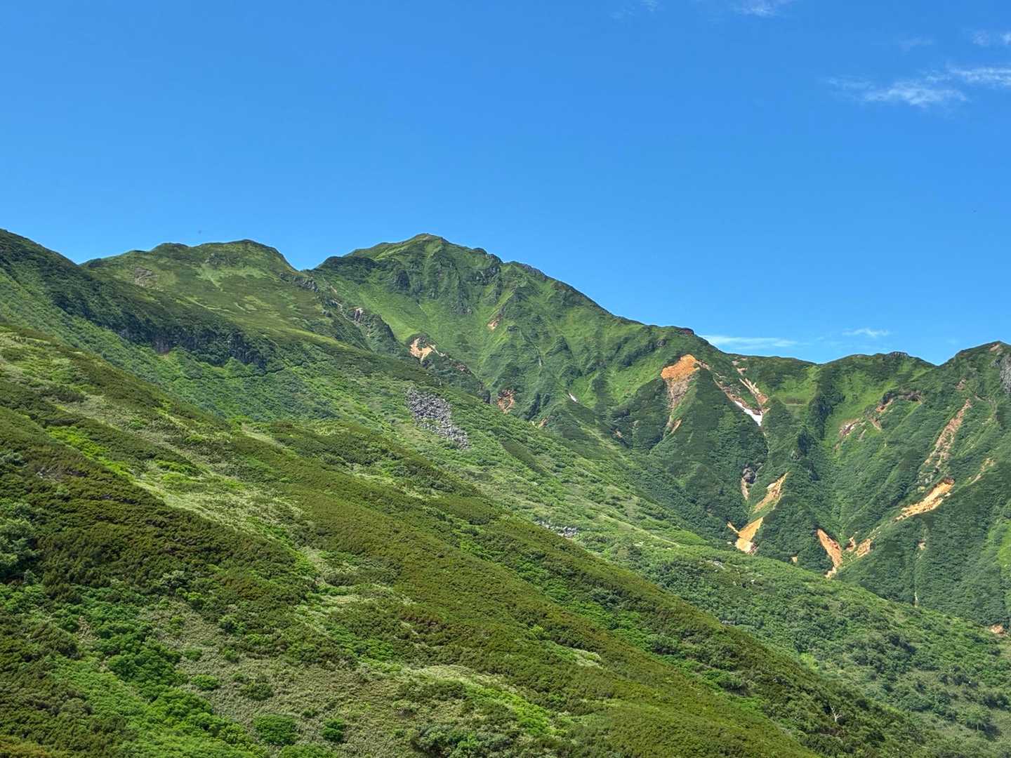 富良野岳は青々として生命力みなぎっている