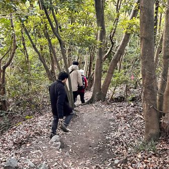 山頂でゆっくりしてから下山
皆さんは遊歩道へ