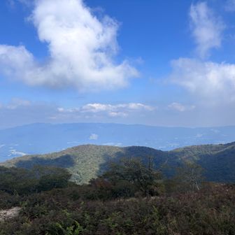 振り返って青空が綺麗