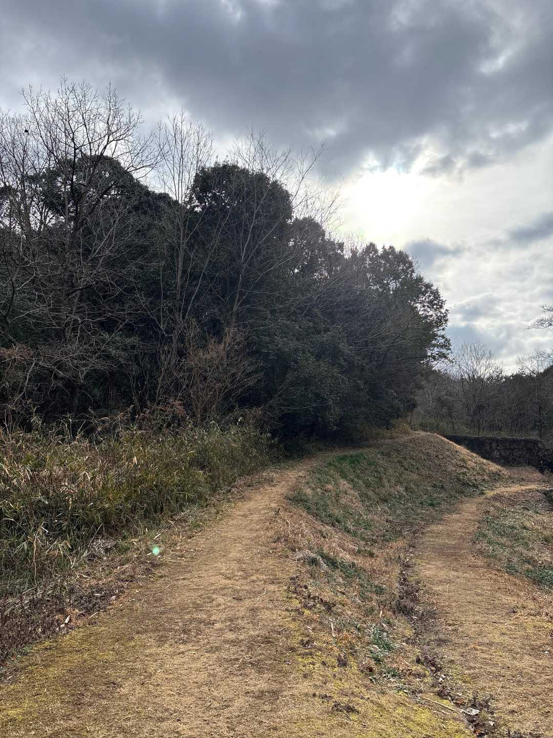 堂々公園から