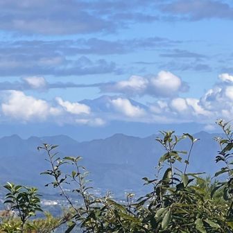 久しぶりに御嶽山見えた👀