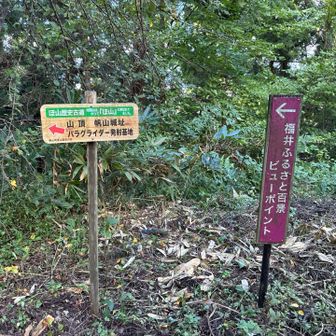 展望台へは別ルートで移動しましたが、アップダウンも多くて、行きのルートの方が良かったです。