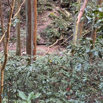 対岸。
いつか行ってみたい…
帰ろ。