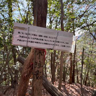 宍粟５０名山の篠ノ丸は戸倉山らしい
3座目に戸倉山（篠ノ丸）へ行く予定でしたが
時間的に無理そうなのでここで引き返します