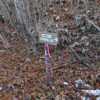始めは林道を登ります