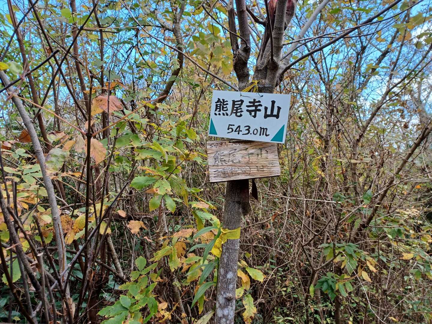 熊尾寺山の写真