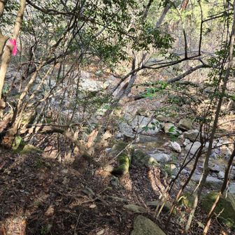 黒岩谷西尾根の取り付き
渡渉してからふり返って

渡渉地点の対岸にピンクテープあり