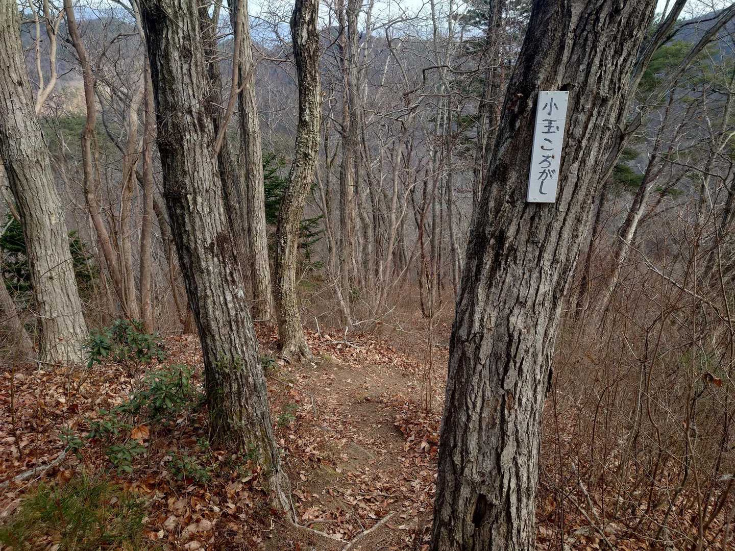 剣ヶ峰-水石山-閼伽井嶽 往復コースの写真