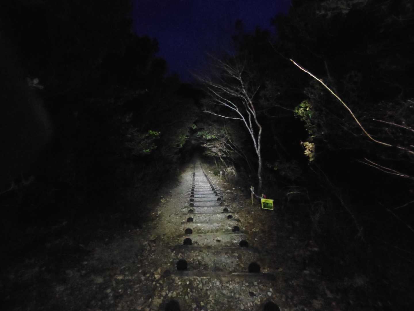 田原アルプスはナイトでも歩きやすいトレイルです♪