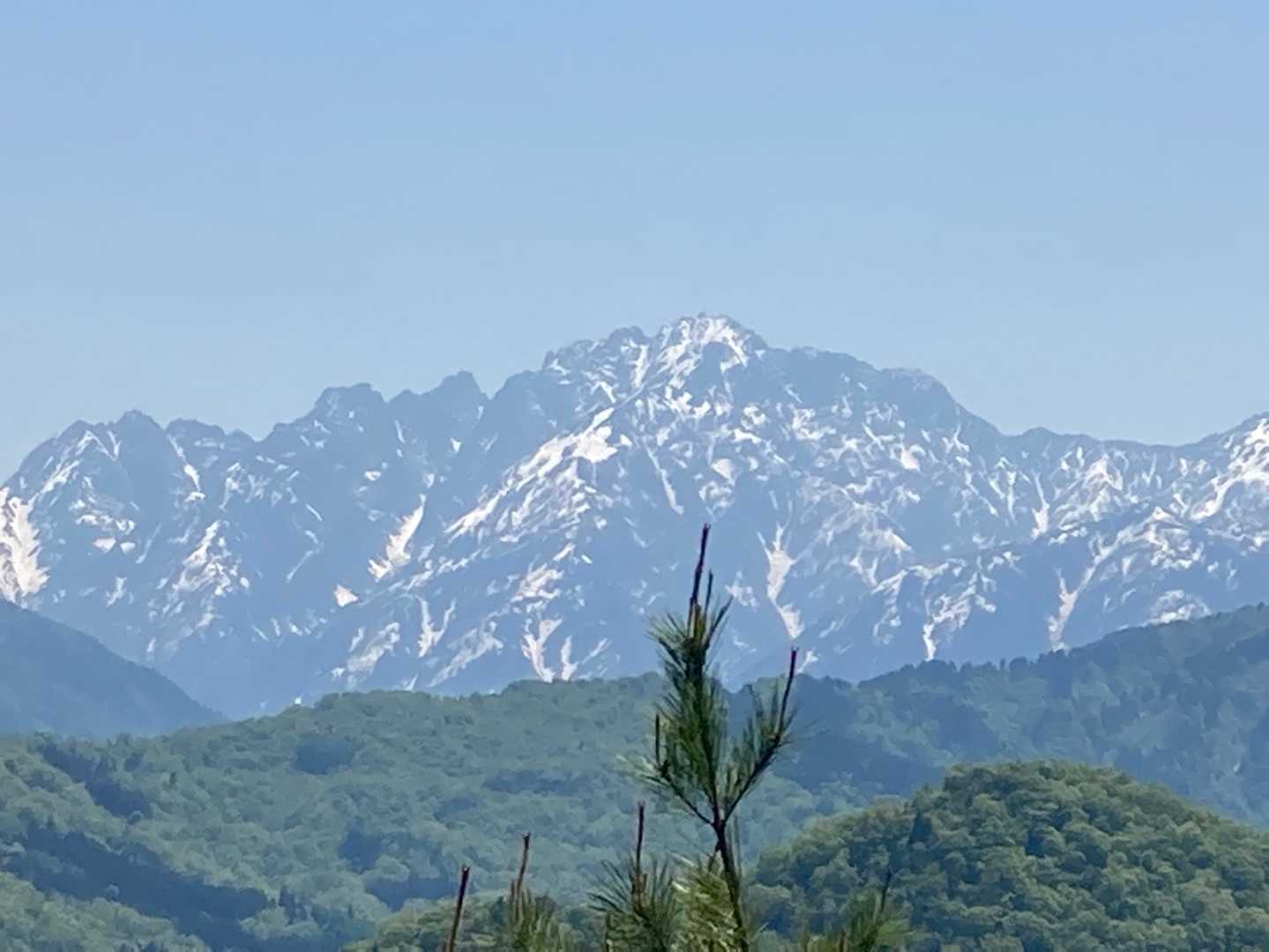 目一杯のズームで