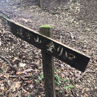 尾根筋の分岐点 北西：道方山、東方面：作衛門🪧
