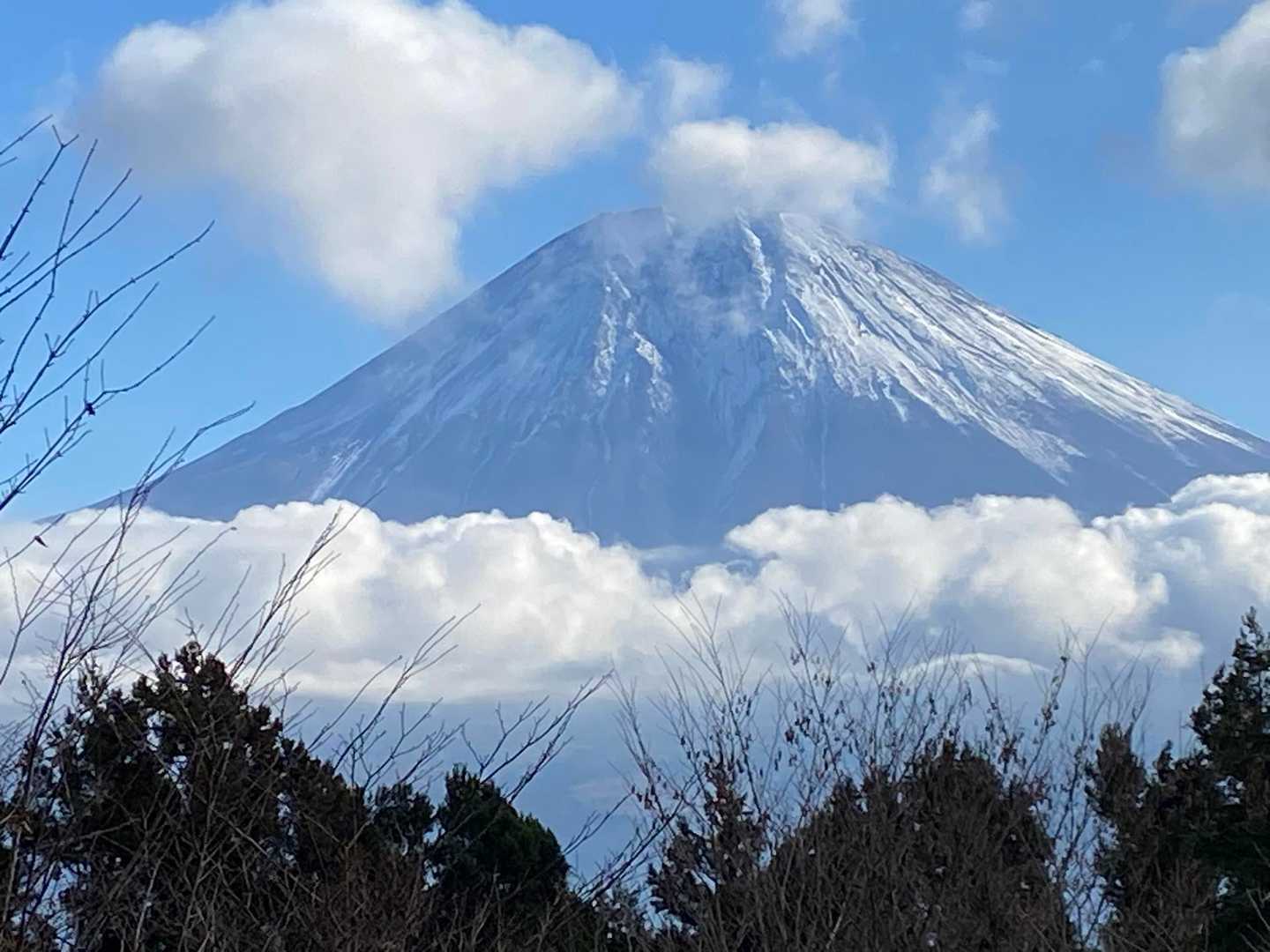 田貫湖-長者ヶ岳 往復コースの写真
