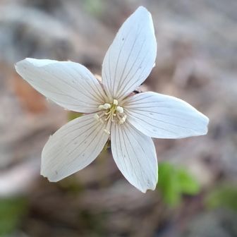 　開いてました☺️