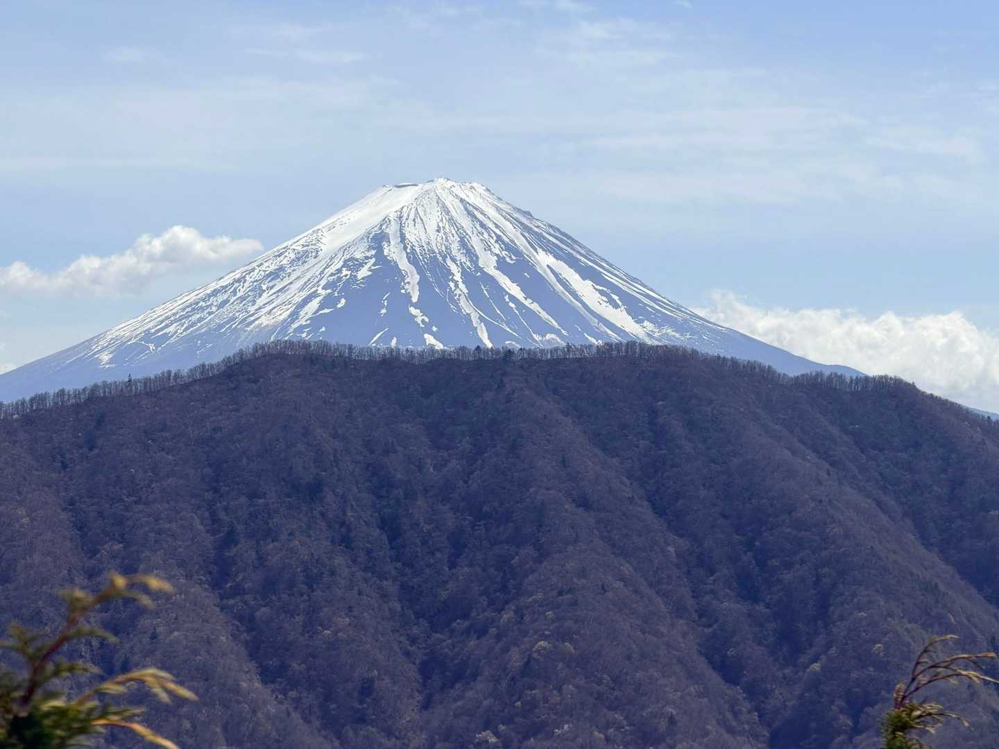 鳶巣峠-大栃山-神座山-釈迦ヶ岳 周回コースの写真
