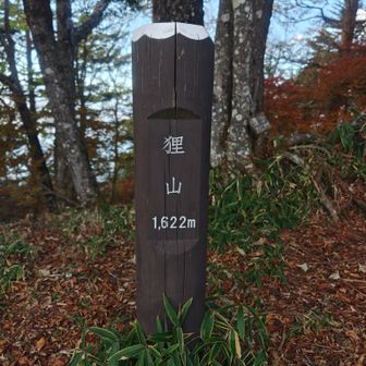 ピークは眺望無しです