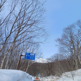 樹海ライン、今年から崩落箇所の道路工事が始まるそうです☺