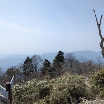 西。タカネ（中右前）