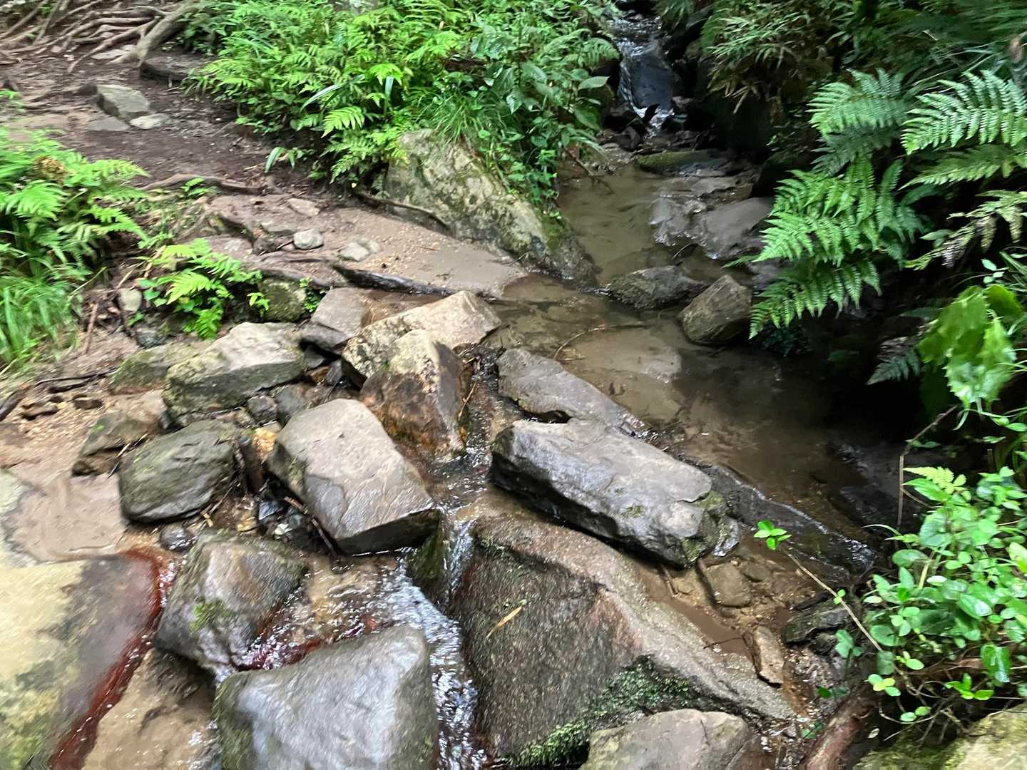 渡っていきます
