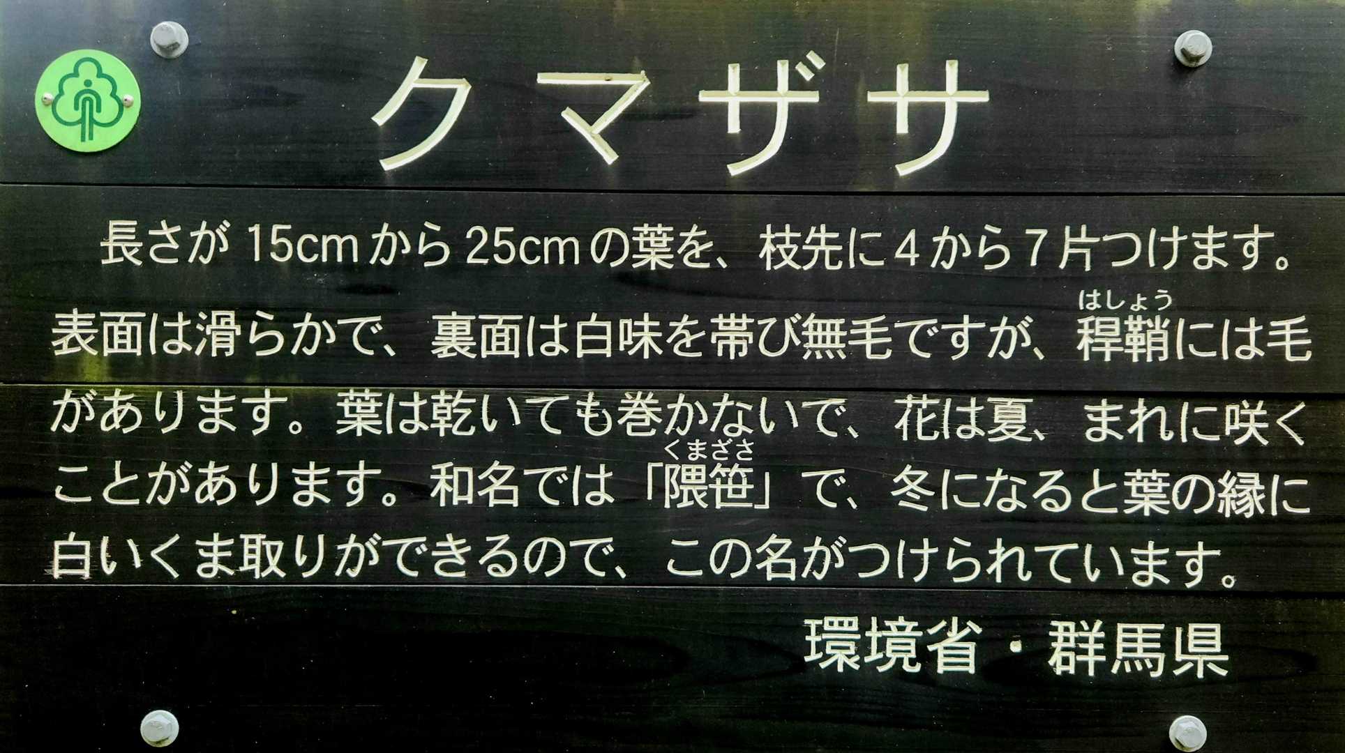 今までずっと『熊笹』だと思ってました