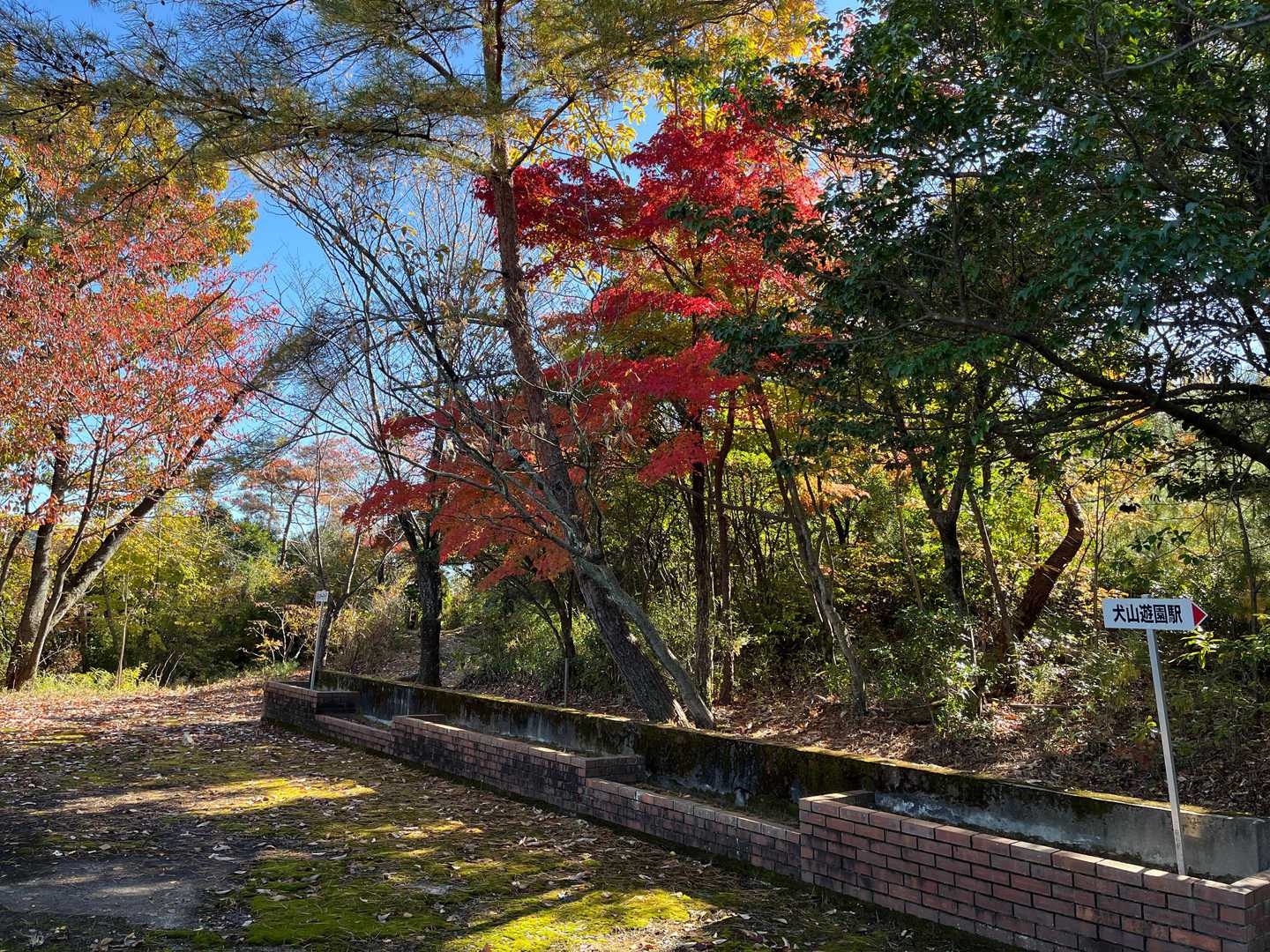 明王門-成田山名古屋別院 大聖寺-犬山善光寺-善光寺山 往復コースの写真