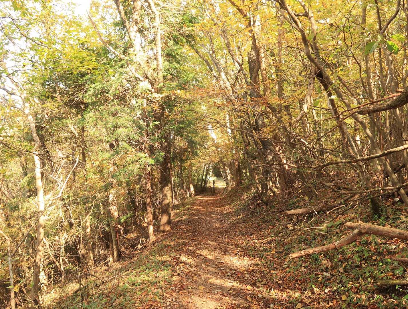 下山しま〜す。