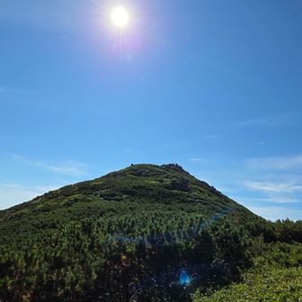 あれがオッカバケ岳⛰️
中腹まで背丈ほどのハイマツ💧
以降は浅め、山頂は開けてる…らしい
私はここで見守り😁
