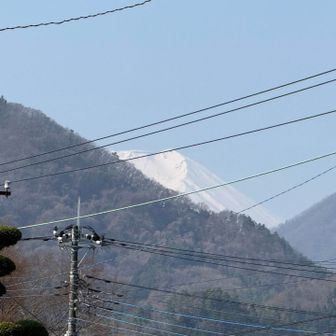 今日の富士はこコレにて終了🗻