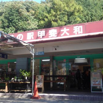 11:43道の駅 甲斐大和で2回目の休憩