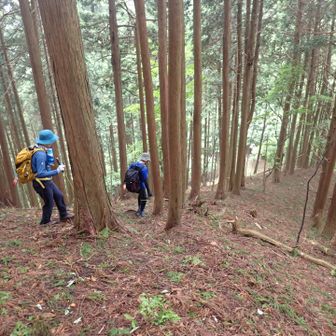 最後のピーク
893m峰で小休止してから
慎重に、慎重に