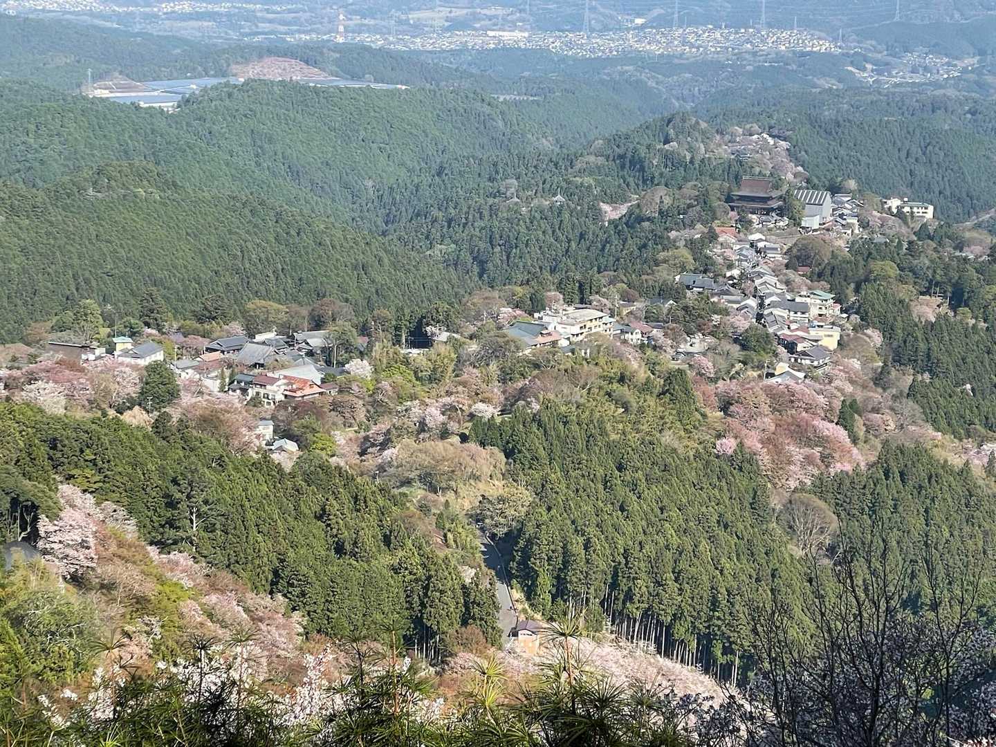 吉野水分神社-高城山-金峯神社-青根ヶ峰 往復コースの写真
