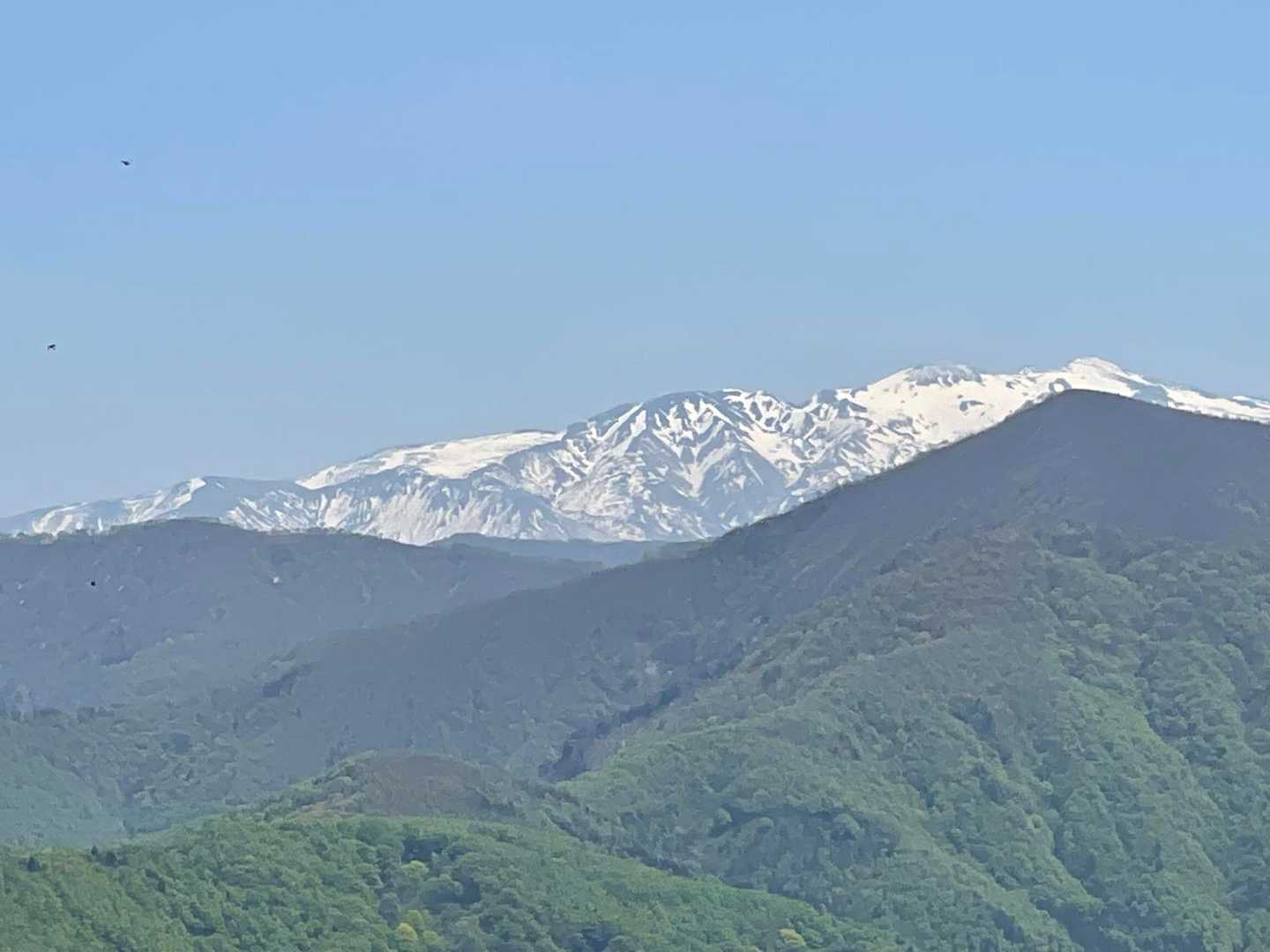 ここから見る白山は七倉山かな？大きく見える