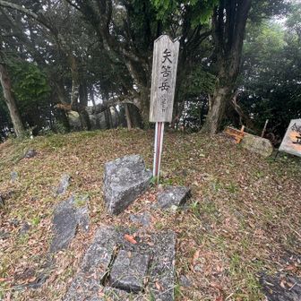 嬉しい嬉しい