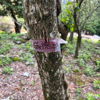 威徳山に登頂🎉
✳︎半縦走時に取れているが、山頂訪問は初